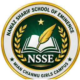 NSSE crest